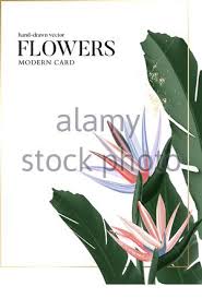 Die städte deutschlands haben eine ganze menge zu bieten. Hochzeit Aquarell Einladung Mit Gold Rahmen Set Vogel Des Paradieses Blumen Palme Blatter Minimal Vektor Konzept Skizzierter Kranz Floral Krauter Garla Stock Vektorgrafik Alamy