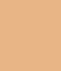 Asian paints colour code 7892. Buy Asian Paints Apcolite Advanced Brown Tan Online At Low Price In India Snapdeal