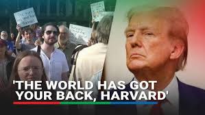 Royal Wedding: Meet England's Royalist Town Crier Tony Appleton