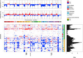 The mesothelioma cancer alliance is proud to award $4,000 to one student whose life has been impacted by cancer. The Immune Microenvironment Genome Wide Copy Number Aberrations And Survival In Mesothelioma Journal Of Thoracic Oncology