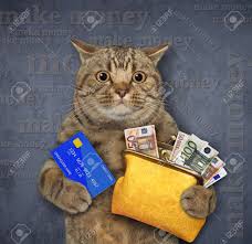 Weclome to visit my blog A Beige Cat Holds A Credit Card And An Orange Leather Wallet With Euro Banknotes Make Money Stock Photo Picture And Royalty Free Image Image 165183495
