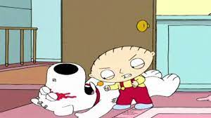 In this post, you will get some hilarious memes about stewie wheres my money. Wheres My Money Stewie Brian Hd Youtube