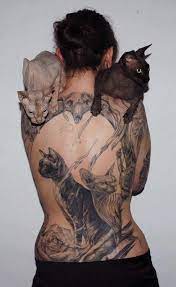 Crazy Cat Lady Sphynx Cat Tattoo Cat Tattoo Crazy Cats