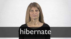 To pass the winter in a torpid or resting state bears hibernating in their dens. How To Pronounce Hibernate In British English Youtube