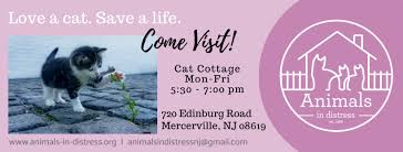 This process can take anywhere from 30 private cremations will cost more since the crematory must cremate only your cat at one time. Animals In Distress Inc Home Facebook