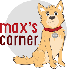 In some cases, severe symptoms appear within 30 to 60 minutes. Insect Bites On Dogs Signs Symptoms And Treatment