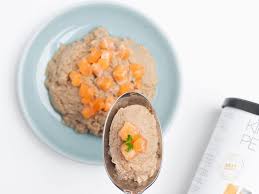 Góc nhìn chuyên gia: Cách chọn thức ăn cho mèo từ bác sĩ thú y Mỹ