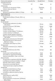 Image result for Vittaria volkensii