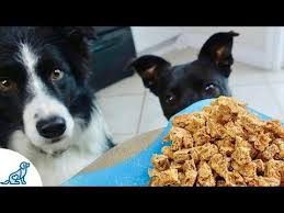 Low calorie carrot dog treats these low calorie carrot dog treats are full of healthy, tasty ingredients, so you can give them to your dog without worrying about his waistline! I Do My Best To Buy Nutritious Wholesome Low Calorie Treats For Maui But Often Wonder If I Could Dog Training Treats Dog Training Treats Recipe Homemade Dog