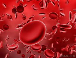 Maybe you would like to learn more about one of these? How Do Human Blood Cells Differ From Animal Blood Cells