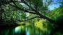 High Resolution Hd Wallpapers 1366x768 For Laptop