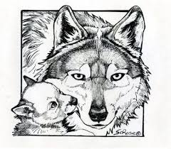 Explore the post below and find your favorite pages to color! Pin On Wildlife