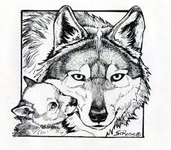 Pin On Wildlife Wolves are a fascinating creature, cool and mysterious.