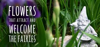 Fairy revels often take place at midnight—look out for fairy rings! Fairy Garden Flowers That Attract And Welcome The Fairies The Forest Fairy