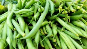 Blanch no more than 1 pound of lima beans per 1 gallon of. How To Freeze Fresh Green Beans Without Blanching Great For Gardens