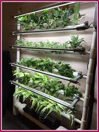 Simple Garden Ideas Thumb Not Green Try These Horticulture Ideas Simple Garden Ideas Hydroponic Farming Hydroponic Growing Hydroponic Gardening