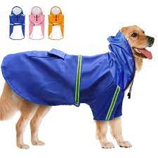 Cavalier King Charles Spaniel Dog Print Scarf Shawl Lightweight Wish Waterproof Dog Coats Dog Coats Dog Raincoat