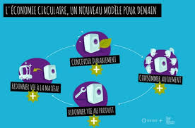 Alors vous voulez tout savoir sur l'économie ? Tout Savoir De L Economie Circulaire Grace A Quatre Publications Apres