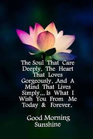 Hope you'll find the inspiration you need for yourself or your. 56 Positive Good Morning Quotes And Images Tailpic