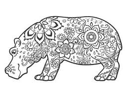 Pin By Jennifer Parkin Izatt On Hippo Hippo Tattoo Hippo Drawing Fiona The Hippo