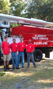 Since 2011, almighty lawn care llc has been committed to provide residential and commercial landscaping. Almighty Tree Service Saint Simons Island Ga 31522 Yp Com