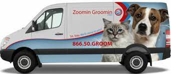 About mobile pet grooming west palm beach there are many questions from the pet owners when they are about to hire the mobile pet grooming service. Best Mobile Pet Grooming By Zoomin Groomin Eco Friendly Pet Grooming Service Best Mobile Pet Grooming Business Opportunity Zoomin Groomin 855 825 Pets