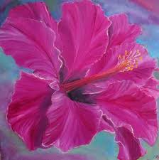 Pin On Hibiscus