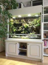 I Sooooo Want To Build A Tank Like This Someday Reptile Terrarium Bearded Dragon Habitat Diy Reptile
