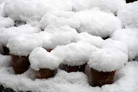 Nieve — sustantivo femenino 1. Helado De Nieve Te Animarias A Probarlo