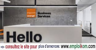 Orange Business Services Recrute Plusieurs Profils In 2020 Network Optimization Computer Literacy Change Management