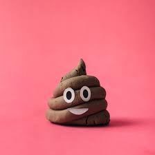 Não dê descarga sem espiar: o seu cocô pode dar pistas sobre a sua saúde -  04092020 - UOL VivaBem