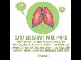 Gambar Poster Tentang Merawat Organ Pernapasan Google Penelusuran Gambar Poster