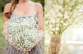 Check spelling or type a new query. Babys Breath Bridesmaid Bouquet Budget Wedding Ideas Bridesmaid Bouquet Babys Breath Bouquet Bridesmaids Wedding