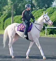 In addition to his solo work. Smabrgeng0bkdm