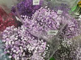 Petaling street is in downtown kuala lumpur, a short distance southeast of merdeka square and the jamek mosque. Lee Wah Florist Petaling Street Farhana Jafri