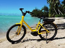 Maybe you would like to learn more about one of these? E Bikes And What Florida Law Says About Them