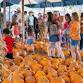 Hunsader Farms Pumpkin Festival event image