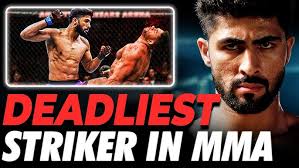 Pakistani ufc fighter knocked indian in 56 seconds
