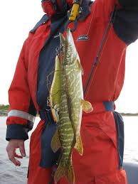 Det blir något över 40 lag som kommer att bjudas in till finalen efter att samtliga kvaltävlingar avgjorts under 2020. Personligt Rekord 30 5 Team Karlskronafiske