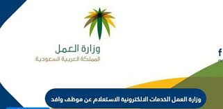 وزارة العمل الخدمات الإلكترونية الاستعلام عن موظف وافد الموقع المثالي