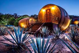 Maybe you would like to learn more about one of these? The Ultimate Tequila Tour To Take In Tequila Mexico