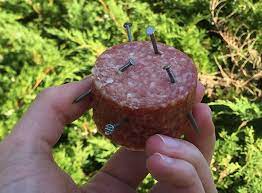 (insektizide, fungizide, herbizide, giftköder, vogelscheuchen, antihagelgeschosse, frostschutzmittel usw.) eingesetzt werden. Anti Giftkoder Training Fur Einen Sicheren Alltag Zooroyal Magazin