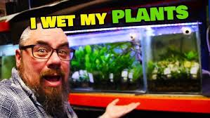 unboxing of aquarium plants from Marcus Fish Tanks
