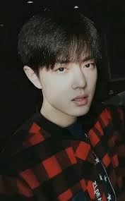 Xiaozan's early days and handsome appearance