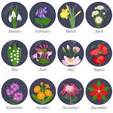 Illustartions of rats for each month. Flowers Months Of The Year On Dark Background Royalty Free Cliparts Vectors And Stock Illustration Image 20763546
