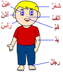 Contoh teks undangan pertunangan dalam bahasa inggris. Bahasa Arab Anggota Tubuh Manusia Dengan Terjemahanya Bahasa Arab Indonesia