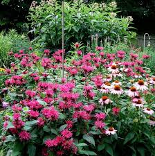 Pin On Garden For Helen
