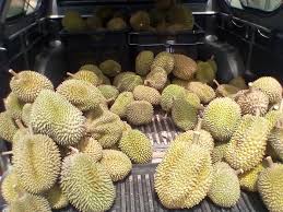 Bagi mereka yang menaiki kereta sendiri, anda perlu mengetahui beberapa panduan termasuk membeli insurans kereta untuk masuk ke thailand dan mengisi borang di kaunter penyerahan borang insurans selepas pasport anda dicop. Durian Viral Hilux Home Facebook