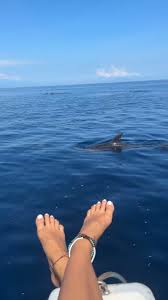 Ariana Diamants feet