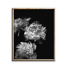Peonies Wall Art Downloadable Prints Dark Moody Floral Peony Print Instant Download Black And White Flower Still Life Photo Digital Art Floral Wall Art Floral Art Art Collage Wall